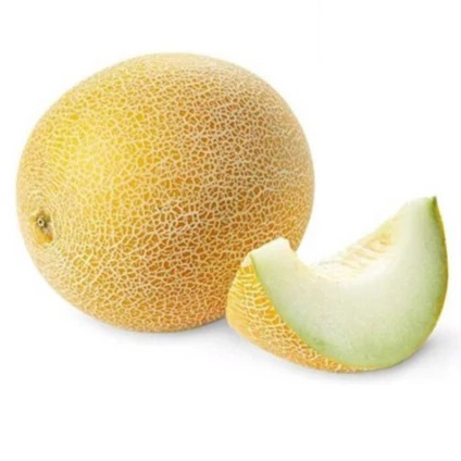 راک